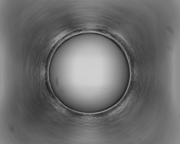 X0000113851065200909241000