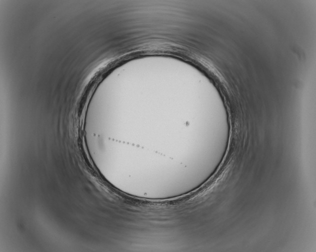 X0000113851067200909241000
