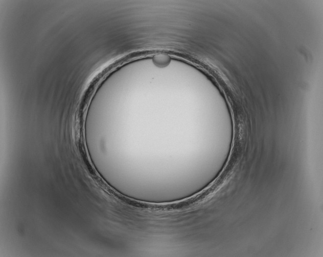 X0000113851069200909241000