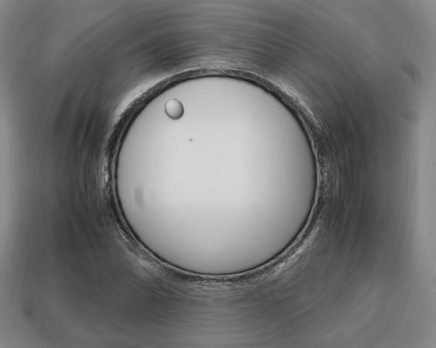 X0000113851070200909241000