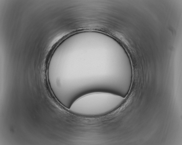 X0000113851071200909241000