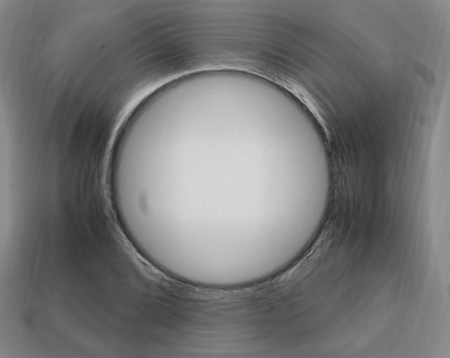 X0000113851072200909241000