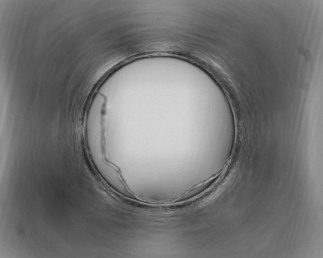 X0000113851073200909241000
