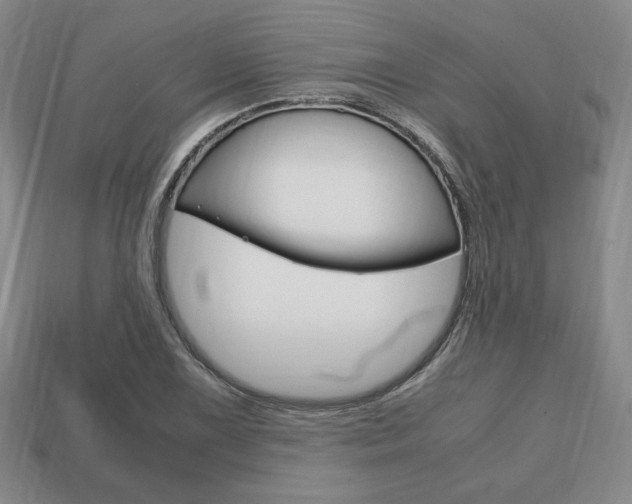 X0000113851075200909241000