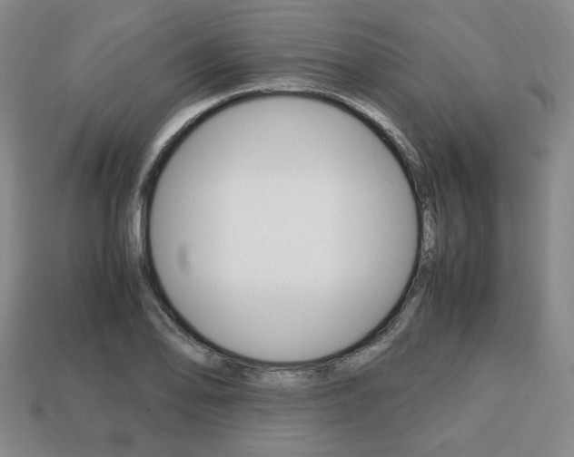 X0000113851078200909241000