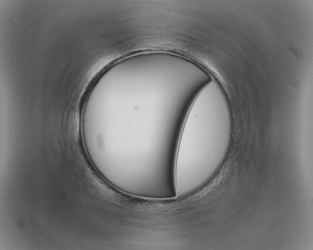 X0000113851079200909241000