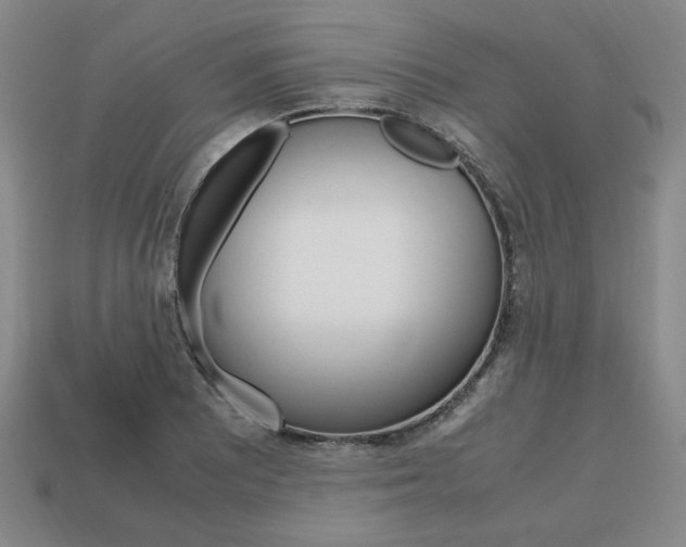 X0000113851081200909241000
