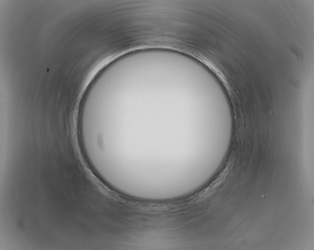 X0000113851085200909241000