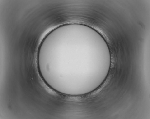 X0000113851086200909241000