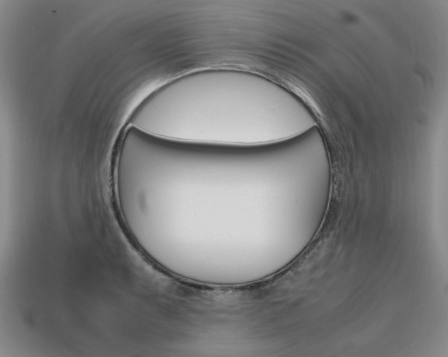 X0000113851087200909241000