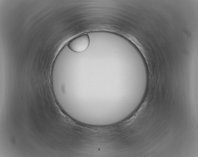 X0000113851089200909241000