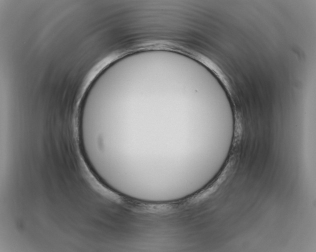 X0000113851090200909241000