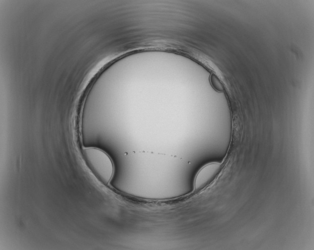 X0000113851091200909241000