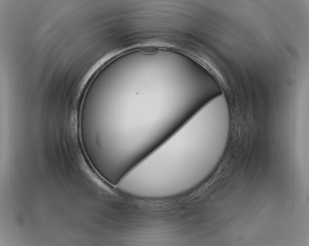 X0000113851092200909241000