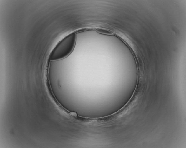 X0000113851093200909241000
