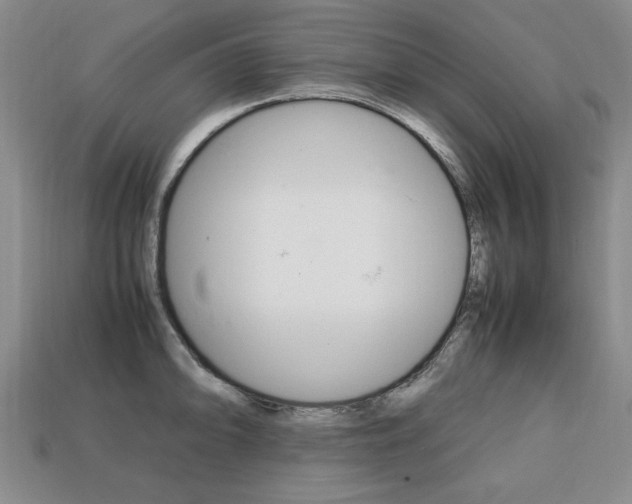 X0000113851094200909241000