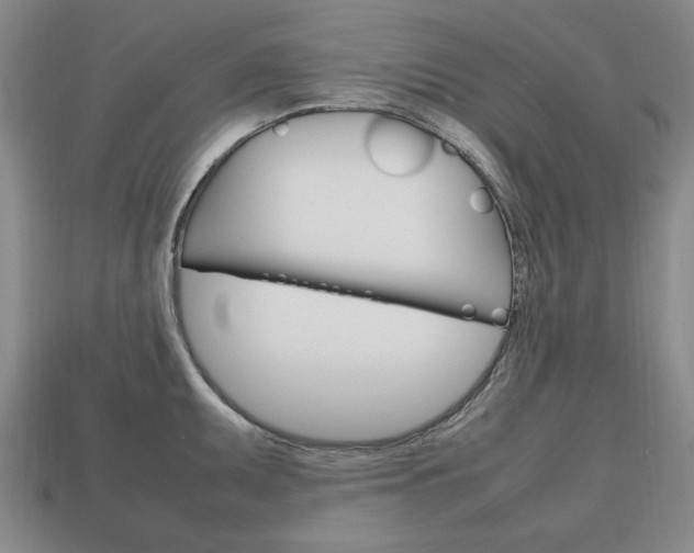 X0000113851095200909240959