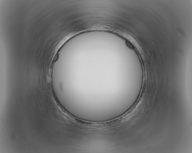 X0000113851097200909240959
