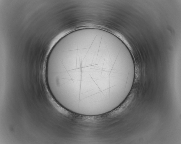 X0000113851098200909240959