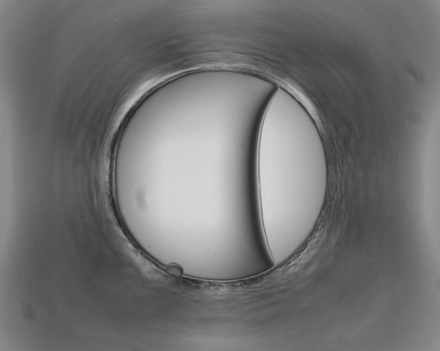 X0000113851099200909240959