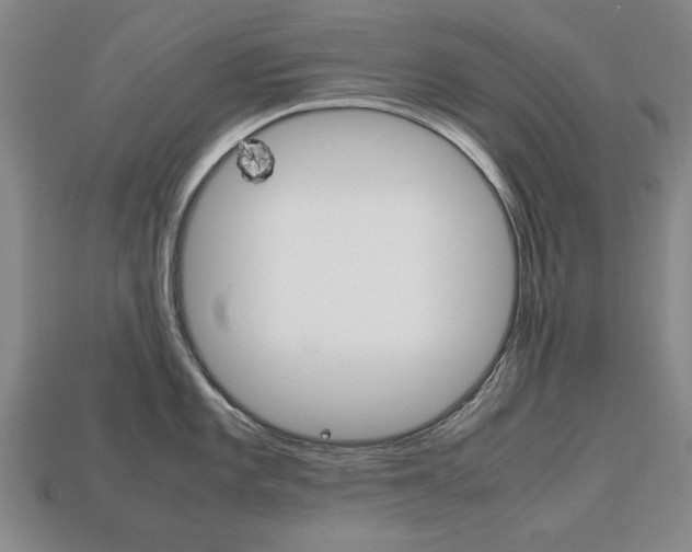 X0000113851101200909240959