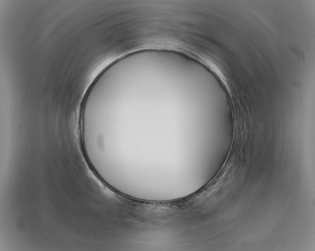 X0000113851103200909240959