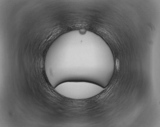 X0000113851107200909240959