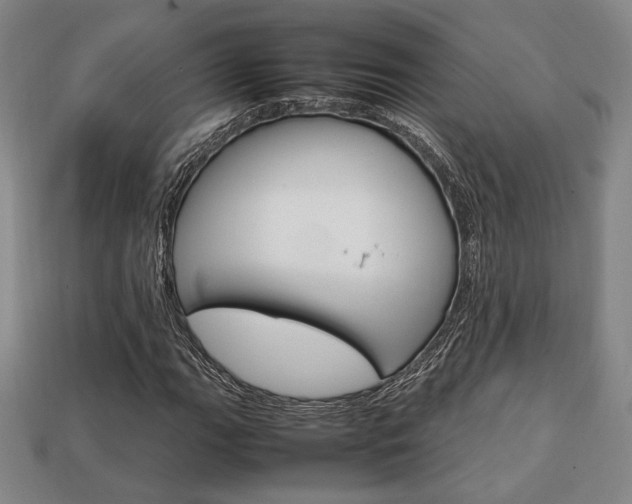 X0000113851111200909240959