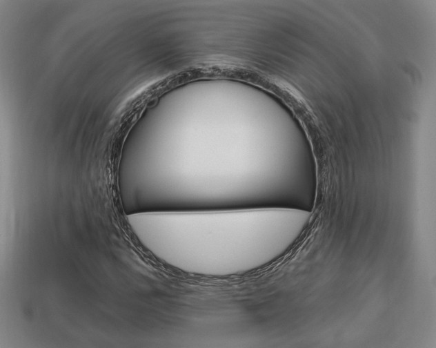 X0000113851112200909240959