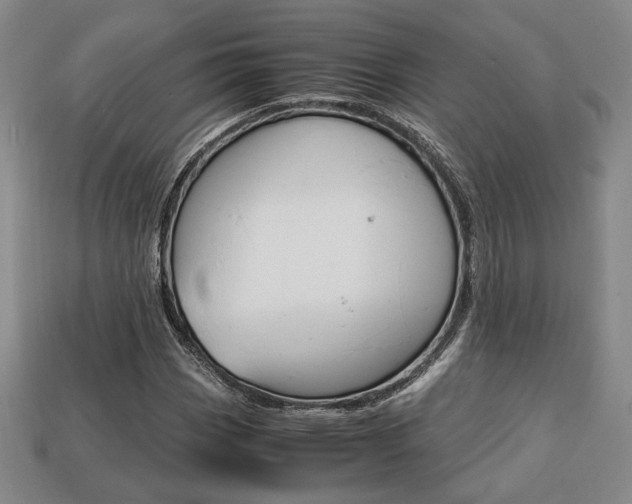 X0000113851113200909240959