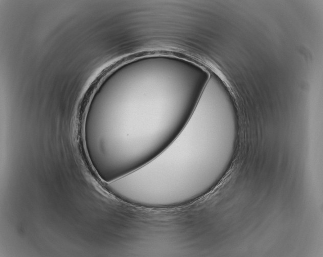 X0000113851116200909240959