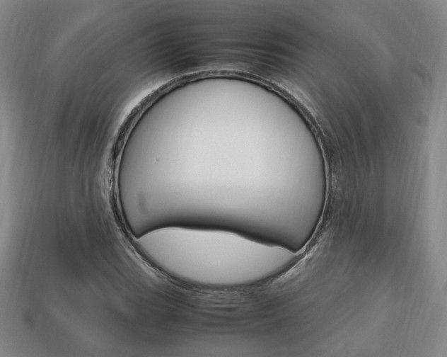 X0000113851119200909240959