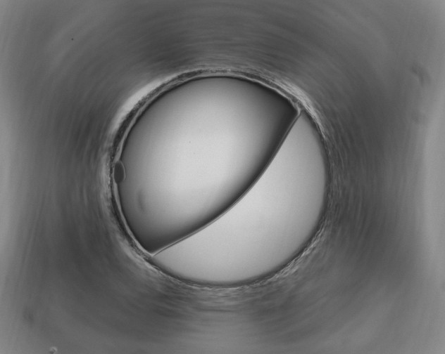 X0000113851120200909240959