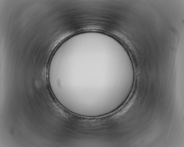 X0000113851121200909240959