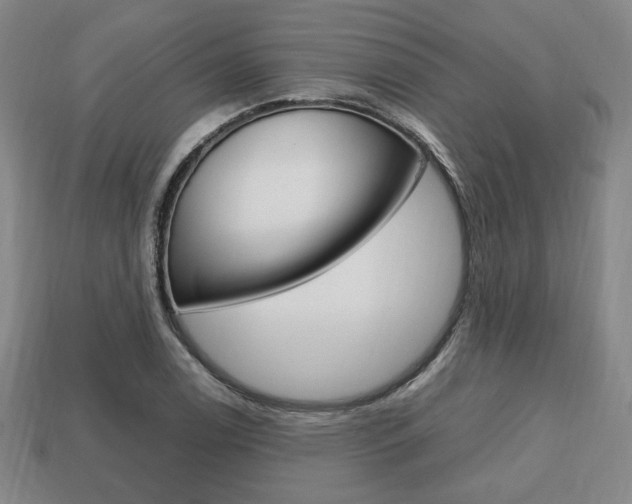 X0000113851122200909240959