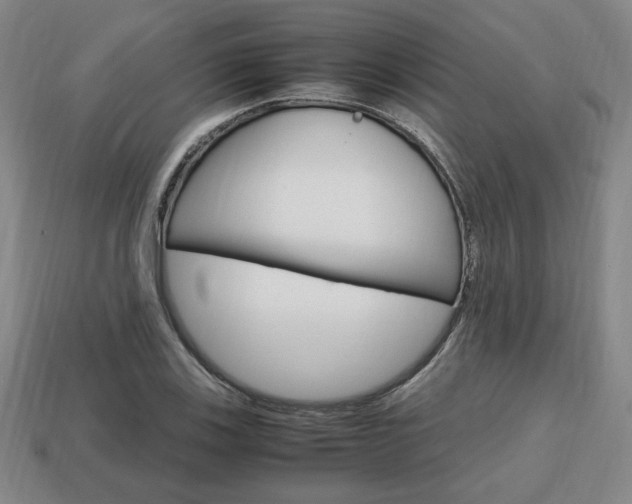 X0000113851123200909240959