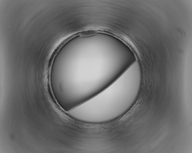 X0000113851124200909240959
