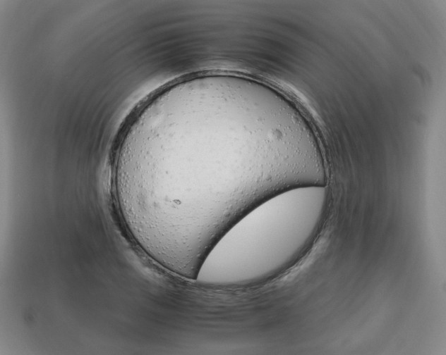 X0000113851125200909240959