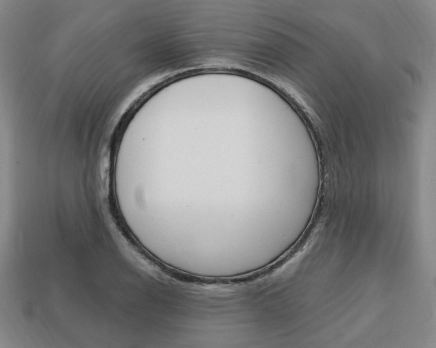 X0000113851126200909240959