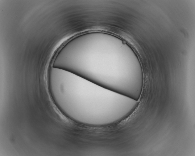 X0000113851127200909240959