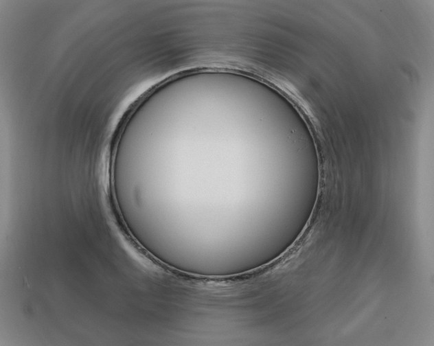 X0000113851128200909240959