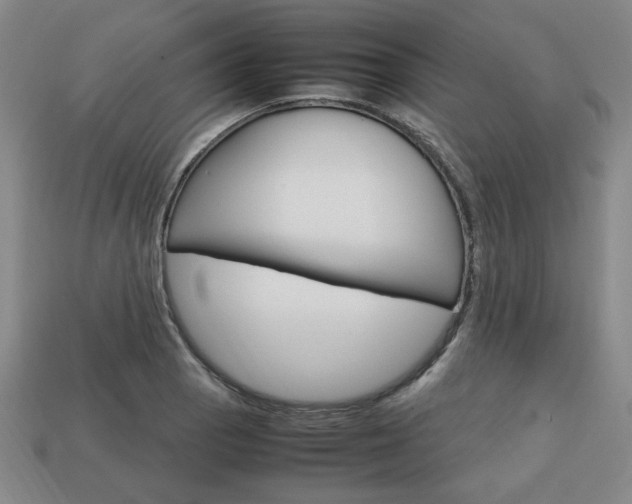X0000113851129200909240959