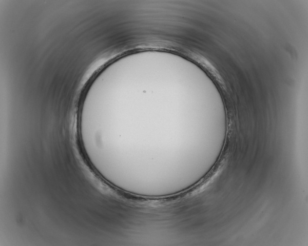 X0000113851130200909240959