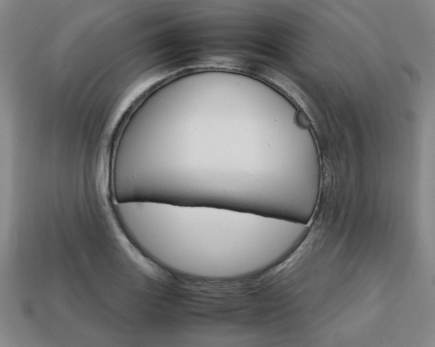 X0000113851131200909240959
