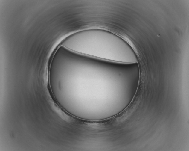 X0000113851132200909240959