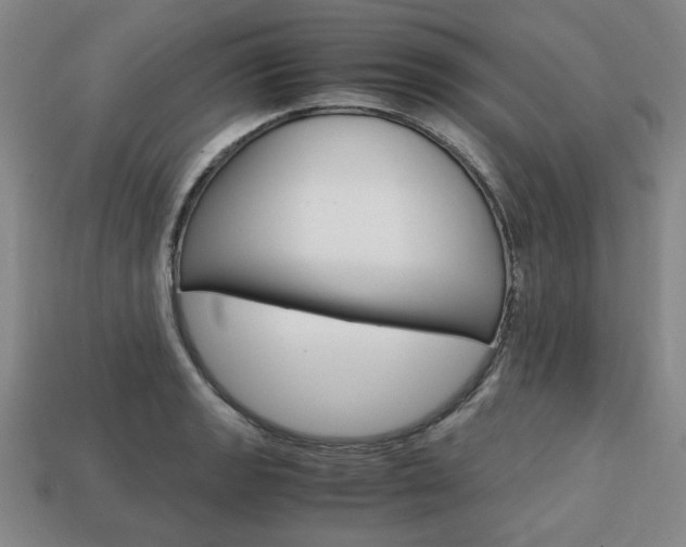 X0000113851133200909240959