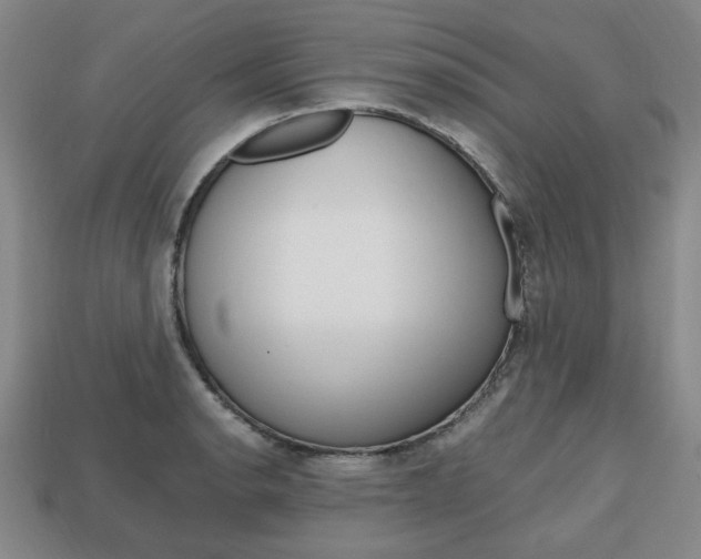 X0000113851134200909240959