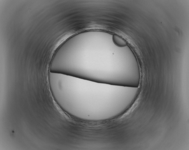 X0000113851137200909240959