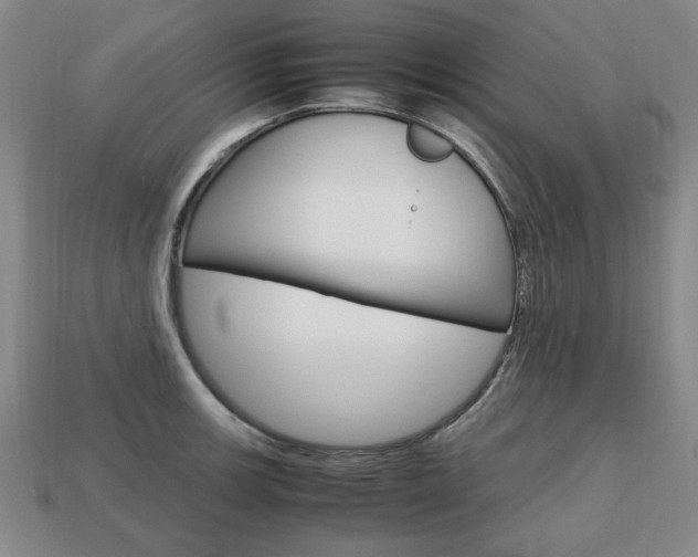 X0000113851139200909240959