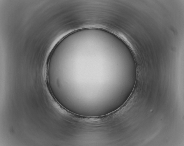 X0000113851140200909240959